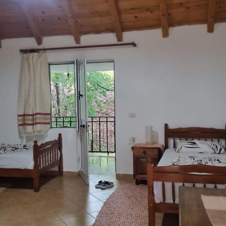 Bujtina Te Grima Hotel Theth Kültér fotó