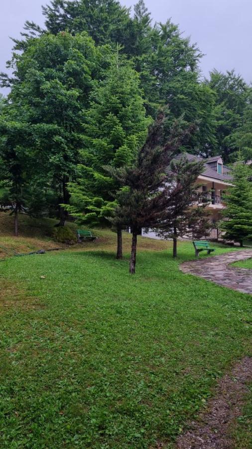 Bujtina Te Grima Hotel Theth Kültér fotó