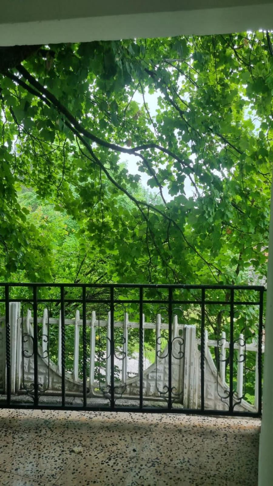 Bujtina Te Grima Hotel Theth Kültér fotó